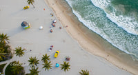 Aerial View of Scenic Tropical Beach with Palms and Waves