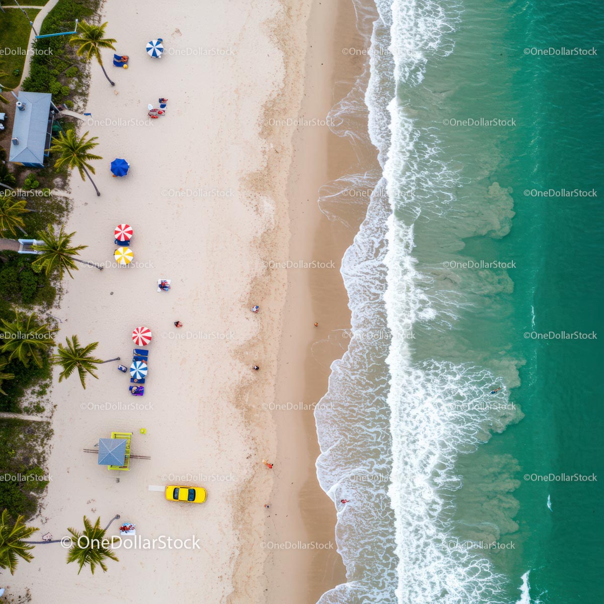 Aerial View of Tropical Beach with Colorful Umbrellas