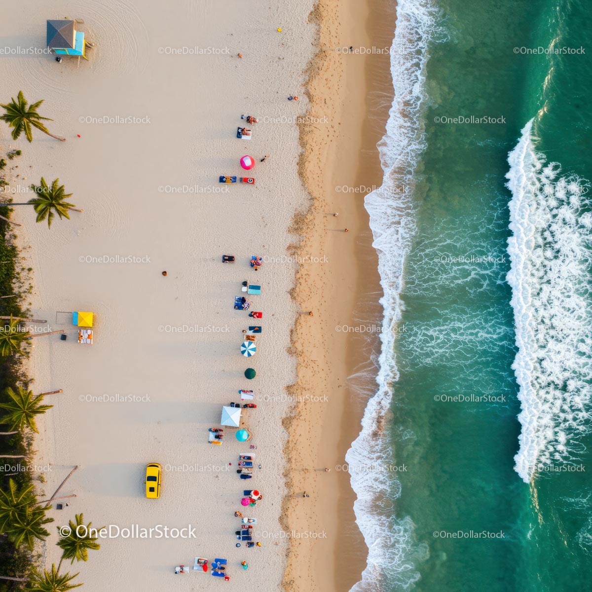 Aerial View of Tropical Beach with Sunbathers and Palm Trees