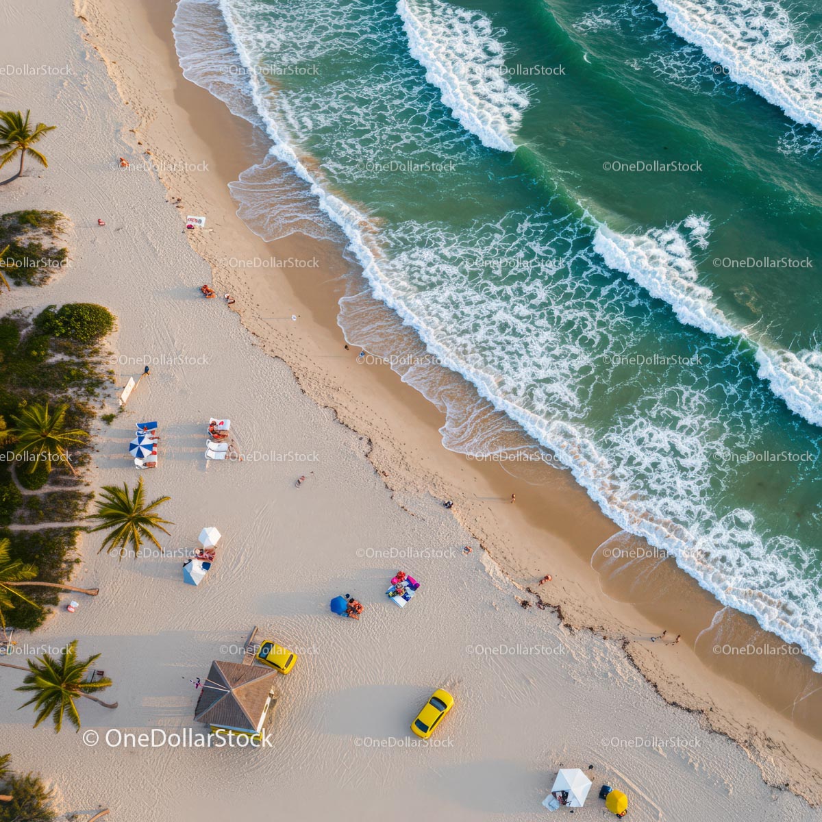 Aerial View of Tropical Beach with Palm Trees and Turquoise Sea