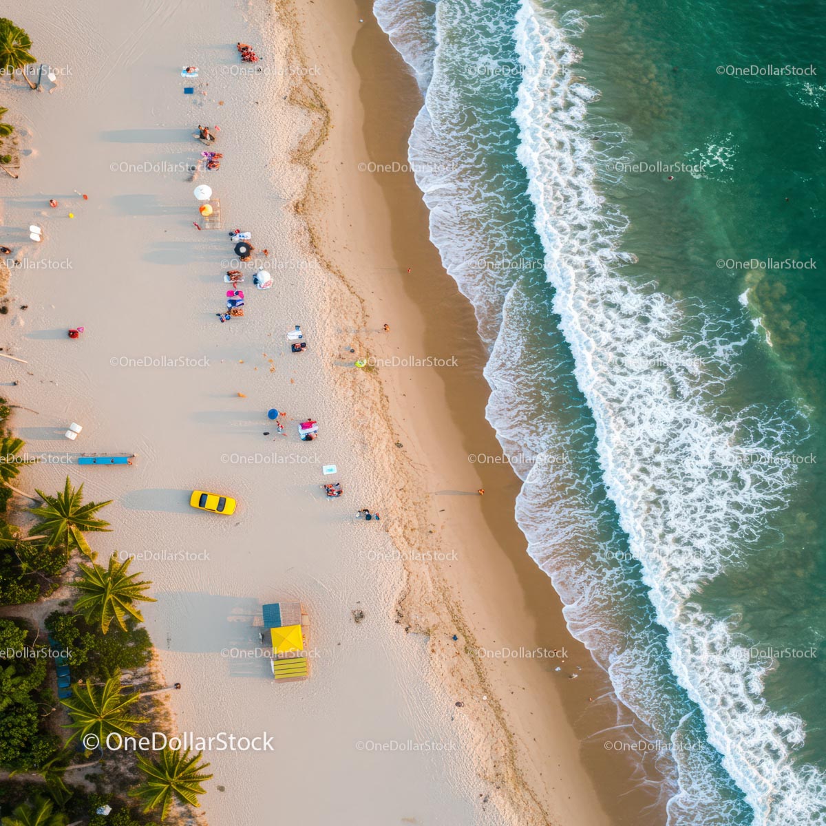 Aerial View of Tropical Beach with Umbrellas and Waves