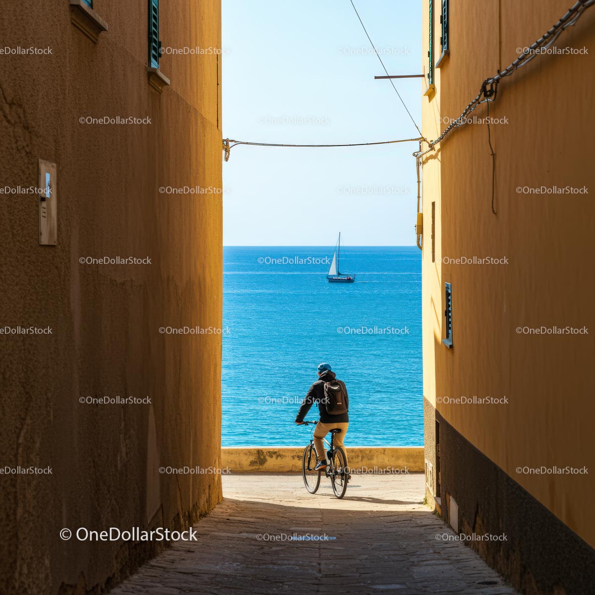 Cyclist Navigates Picturesque Coastal Path to Ocean View