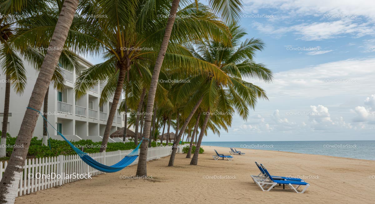 Tropical Beach with Hammock and Palm Trees