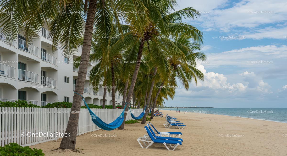 Palm-Lined Beach with Hammock and Blue Lounge Chairs