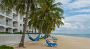Palm-Lined Beach with Hammock and Blue Lounge Chairs