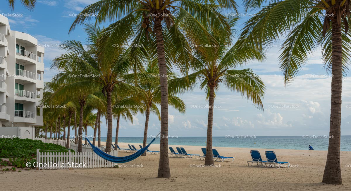 Palm-Lined Beach with Hammock and Sun Loungers
