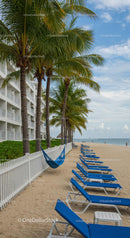 Sunny Tropical Beach with Palm Trees and Lounge Chairs