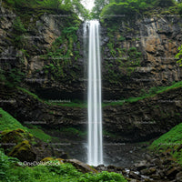 Magnificent Waterfall Surrounded by Lush Greenery