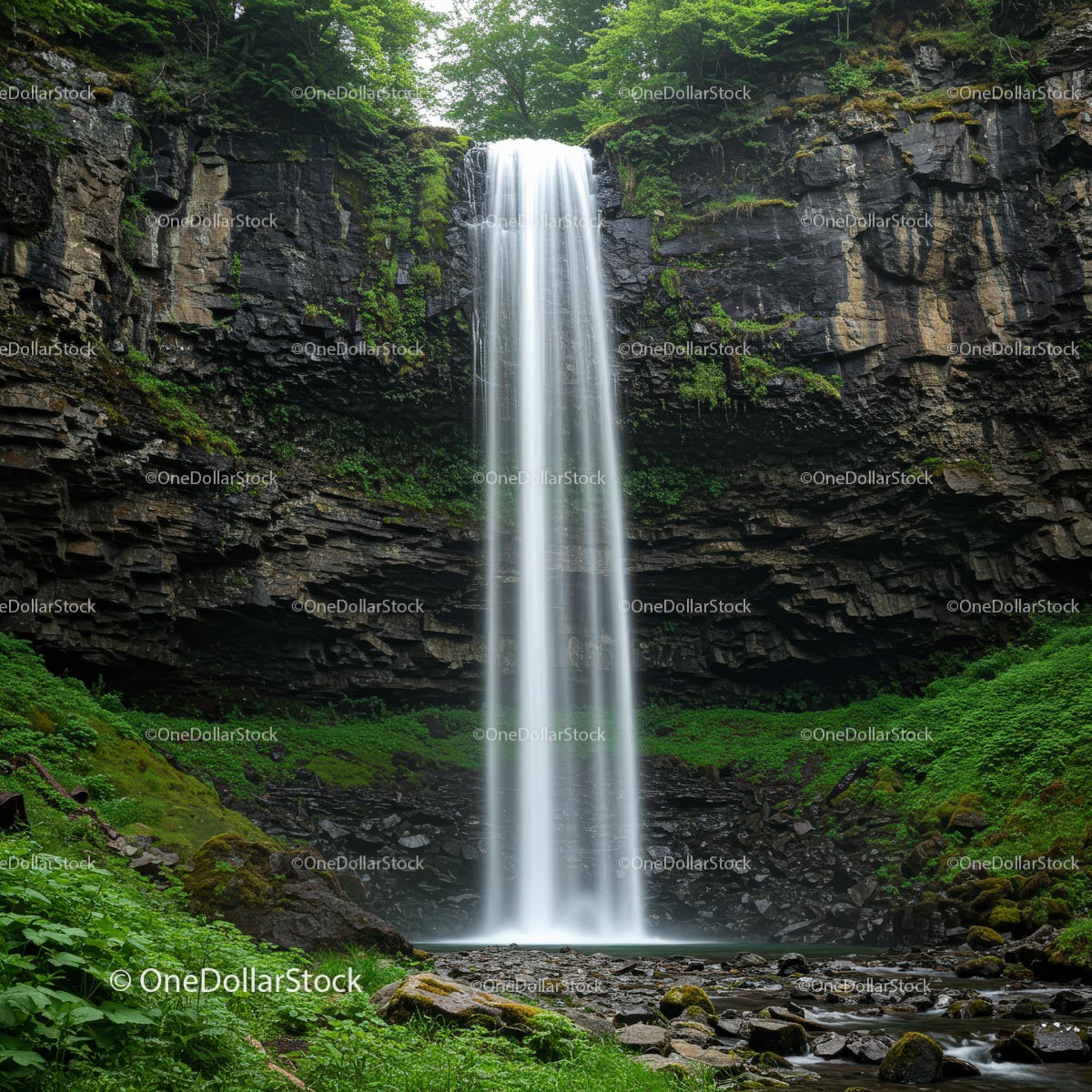 Majestic Waterfall in a Lush Forested Setting