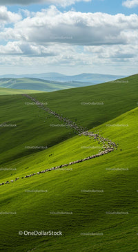Flock of Sheep Grazing on Stunning Green Hills Under Blue Sky