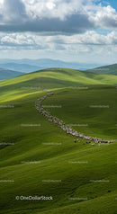 Sheep Herd Grazing on Lush Rolling Hills
