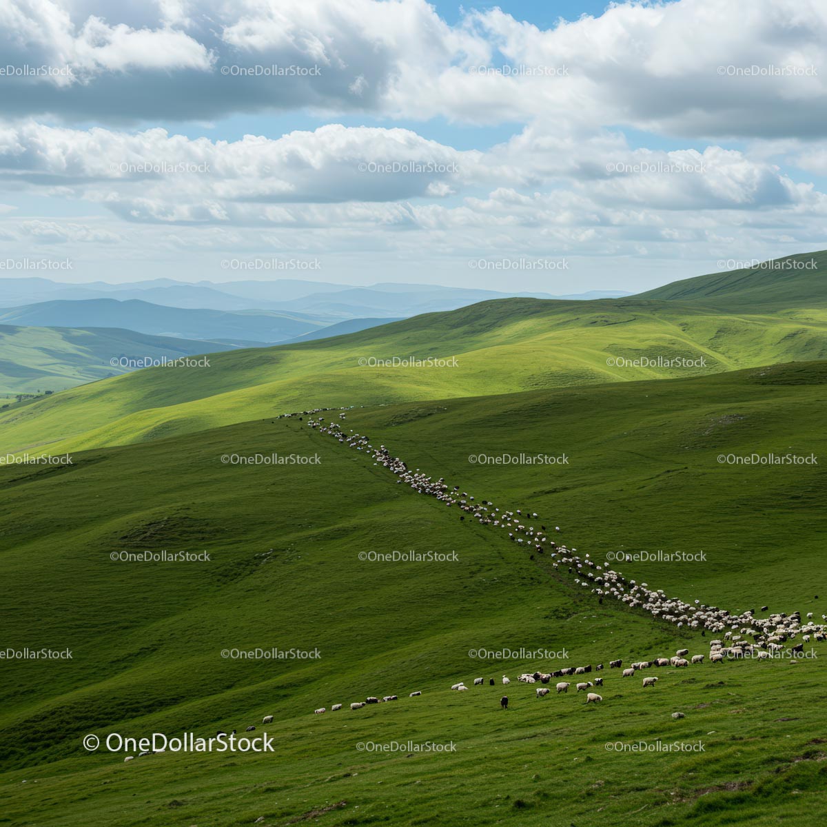 Sheep Grazing on Lush Green Hills Under Cloudy Sky