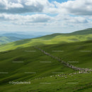 Sheep Grazing on Lush Green Hills Under Cloudy Sky
