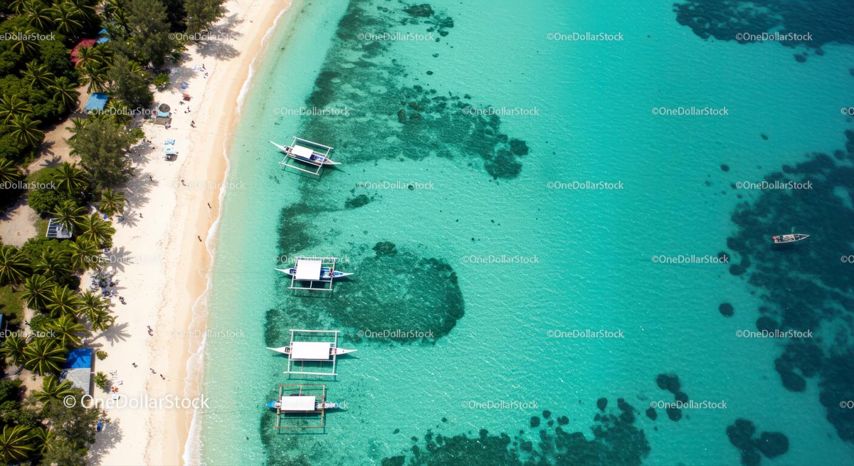 Aerial View of Tropical Beach with Turquoise Ocean Waters