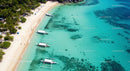 Idyllic Tropical Beach with Palm Trees and Clear Turquoise Water