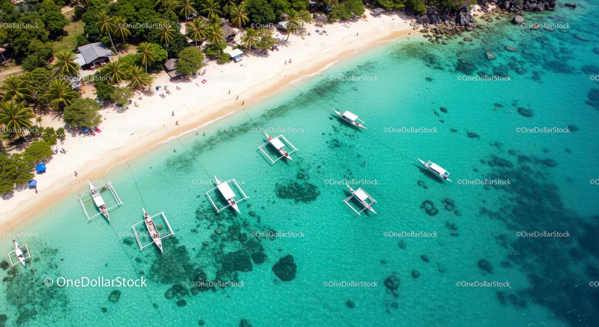 Aerial View of Tropical Beach with Boats and Palm Trees