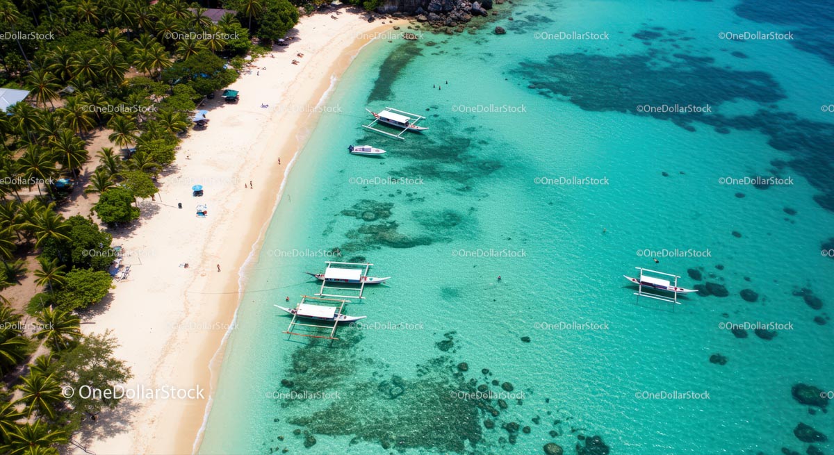 Aerial View of Tropical Paradise with Turquoise Waters