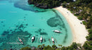Tropical Beach with Turquoise Waters and Palm Trees