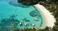 Tropical Beach with Turquoise Waters and Palm Trees