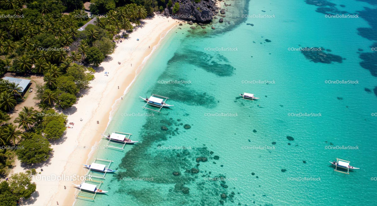 Aerial View of Tropical Beach with Boats and Palm Trees