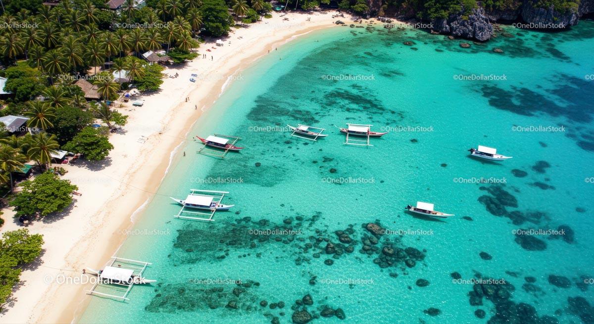 Tropical Beach with Outrigger Boats and Palm Trees