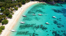 Tropical Beach with Outrigger Boats and Palm Trees