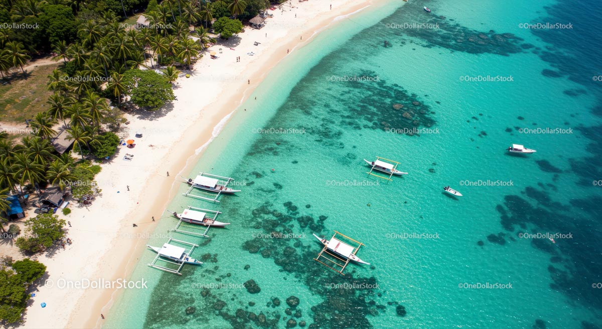 Aerial View of Tropical Beach with Turquoise Waters