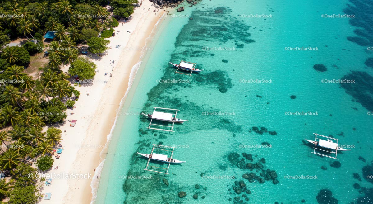 Aerial View of Tropical Beach with Boats and Palm Trees