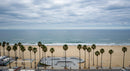 Palm-Lined Beachfront with Ocean and Skatepark View
