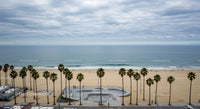 Palm-Lined Beachfront with Ocean and Skatepark View
