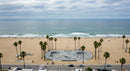 Skatepark by the Ocean with Palm Trees and Sandy Beach