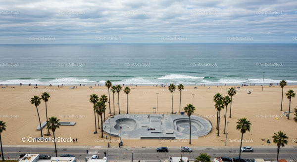 Skatepark przy Oceanie z Palmami i Piaszczystą Plażą