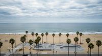 Palm-Lined Beach with Tranquil Ocean Views