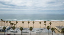 Palm-Lined Beach with Tranquil Ocean Views