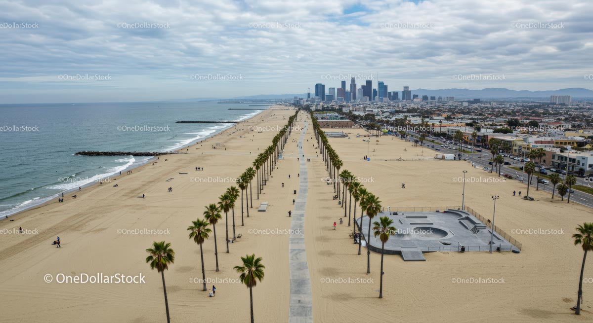 Palmy wzdłuż plaży prowadzącej do panoramy nadmorskiego miasta