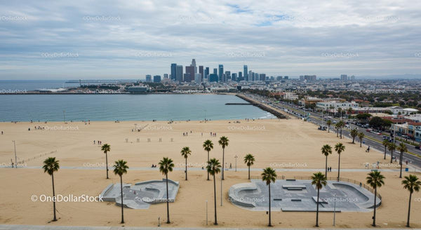 Urban Beachfront with Palm Trees and City Skyline View