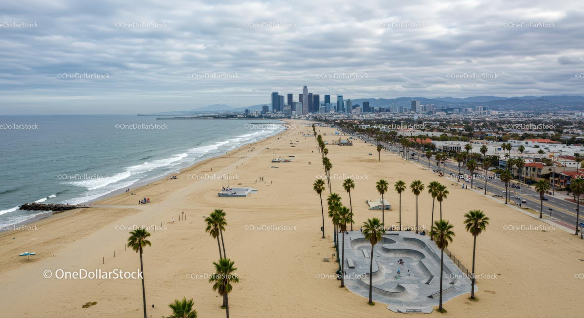 Palm-Lined Beach with Tranquil Ocean Views
