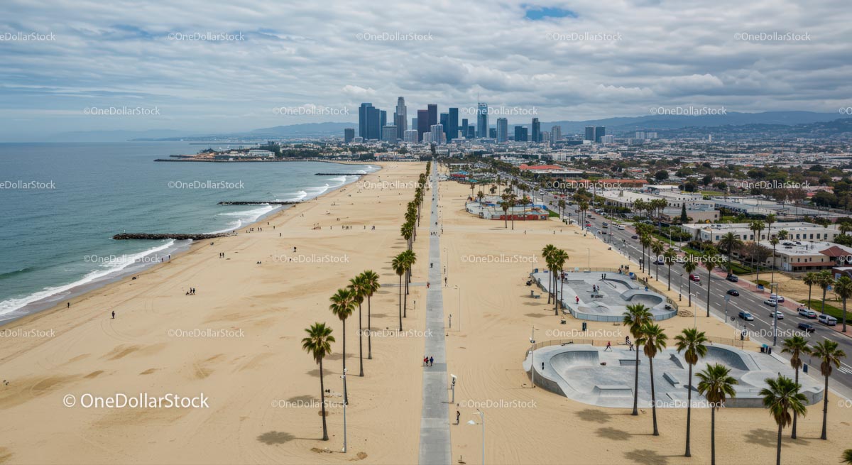 Plaża z palmami i panoramą miasta w Los Angeles