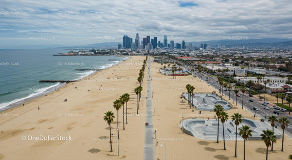 Plaża z palmami i panoramą miasta w Los Angeles
