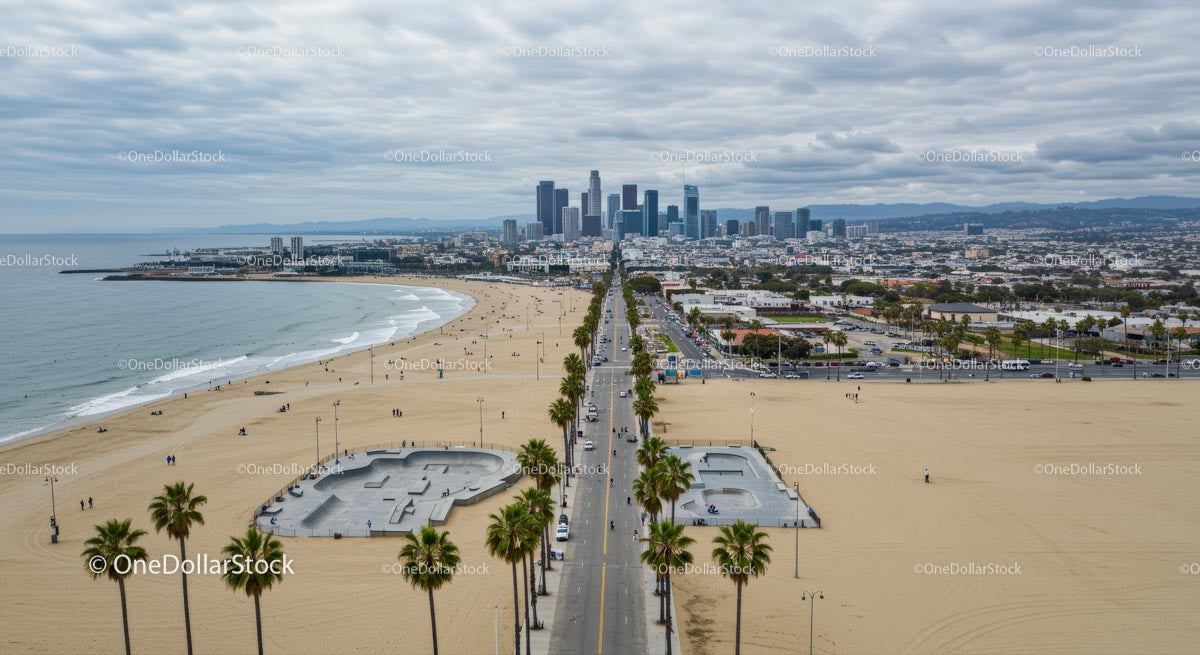 Palm-Lined Beach with Tranquil Ocean Views