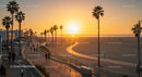 Vibrant Sunset Over Palm-Lined Beach