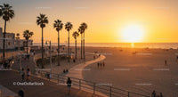 Golden Sunset over Beach with Swaying Palm Trees