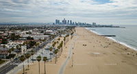 Stunning Beachfront and City Skyline with Tall Palm Trees