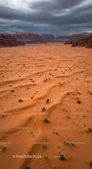 Riders Navigate Sand Dunes in Desert Landscape