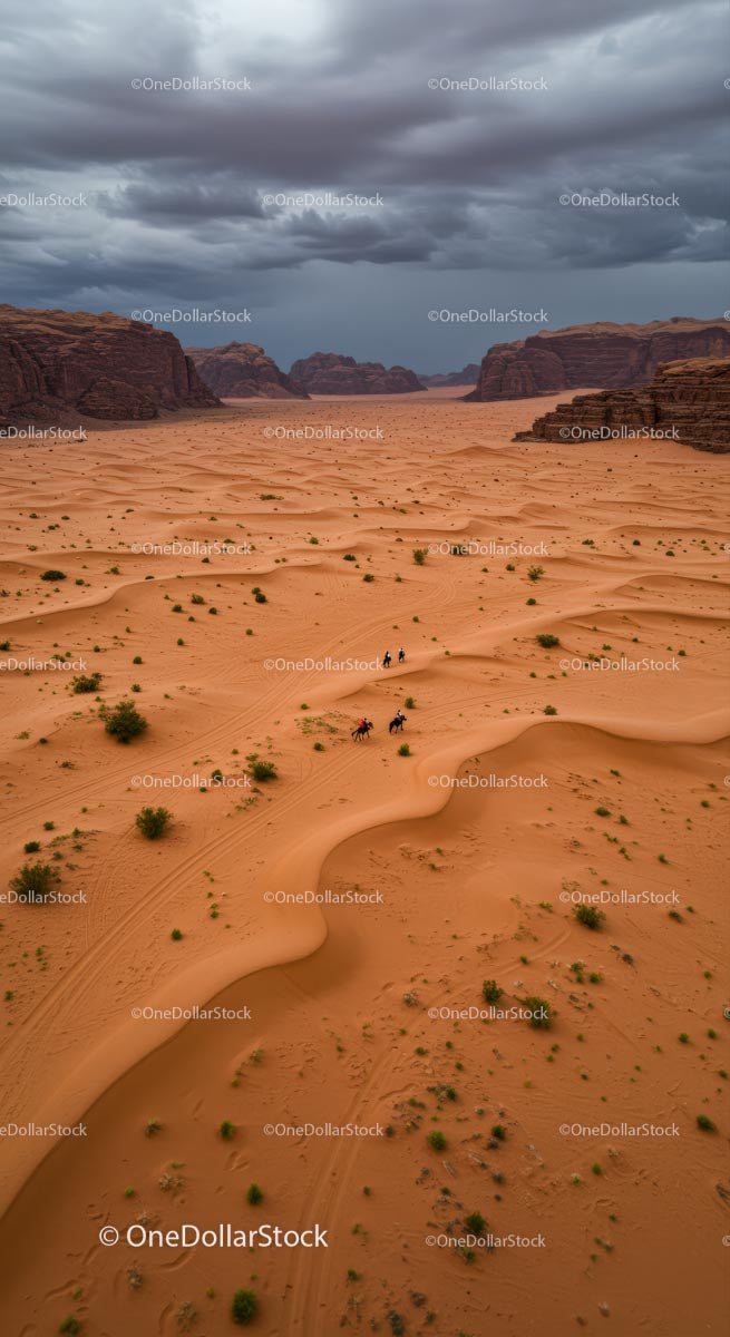 Horseback Adventure in the Vast Sandy Dunes of Wadi Rum