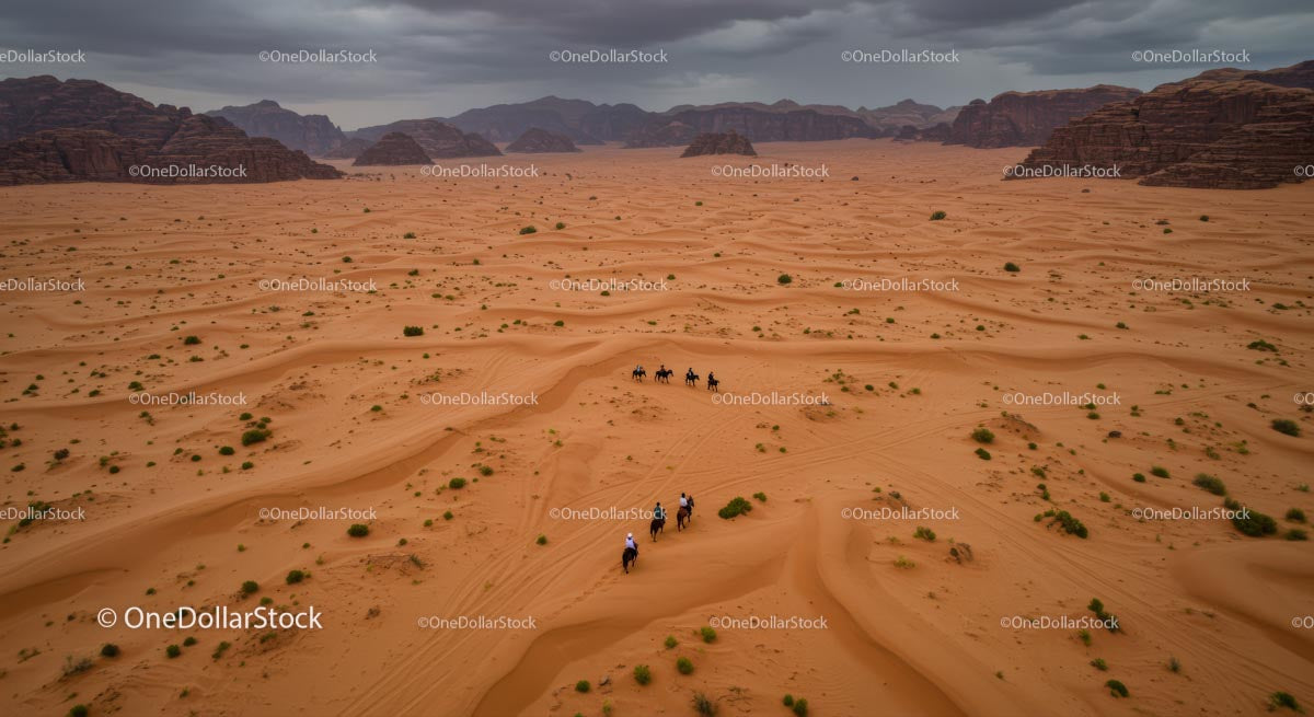 Camel Caravan Traversing the Vast Wadi Rum Desert