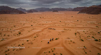 Camel Caravan Traversing the Vast Wadi Rum Desert