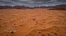 Horseback Riding Through Majestic Desert Landscape