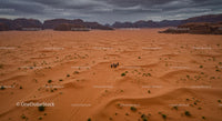 Horseback Riding Through Majestic Desert Landscape