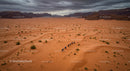 Horse Caravan Journey Across Expansive Desert Dunes